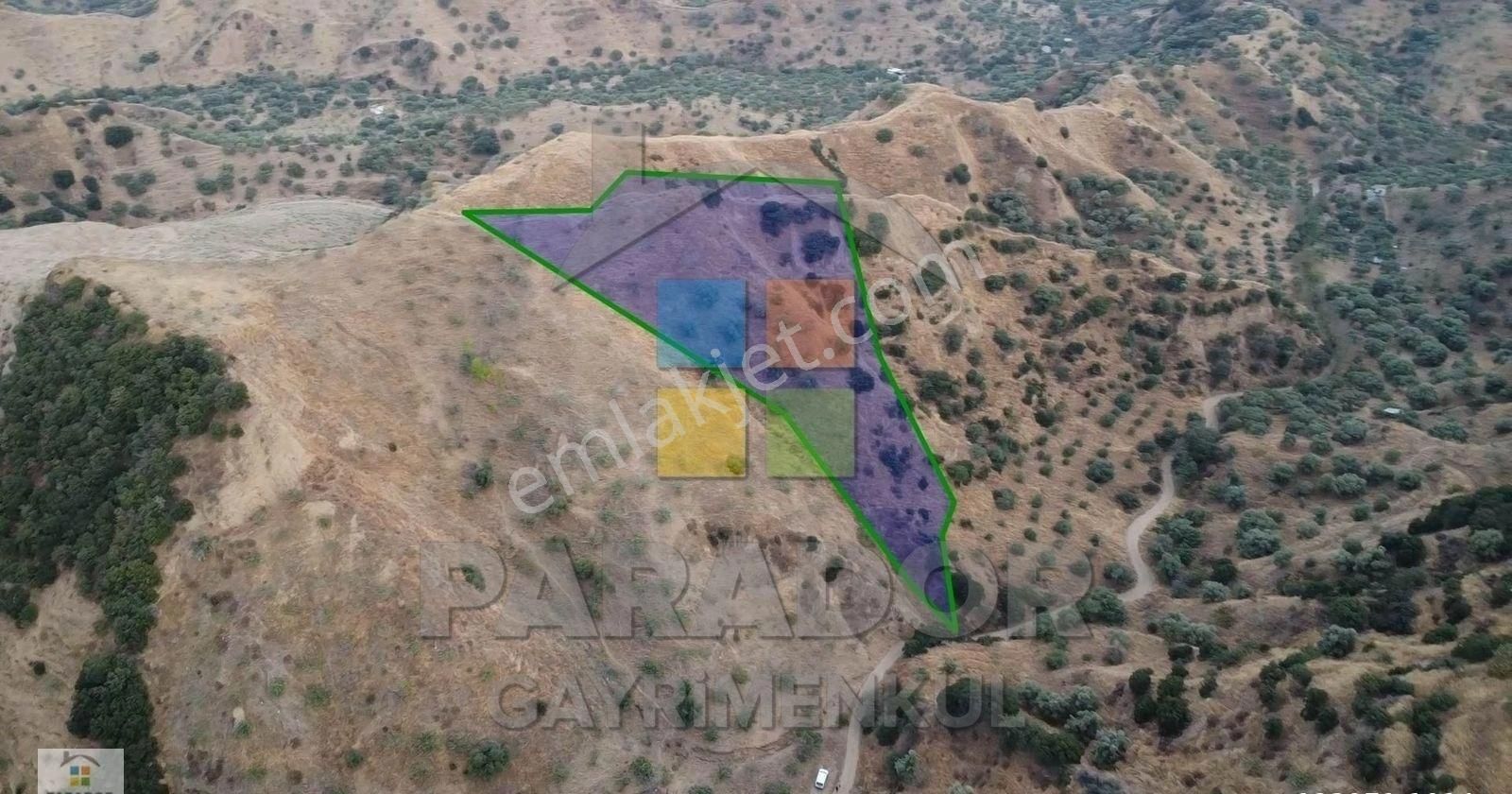Aydın Nazilli Dereağzı Mahallesinde Satılık 8638 M² Tarla - Görsel 10