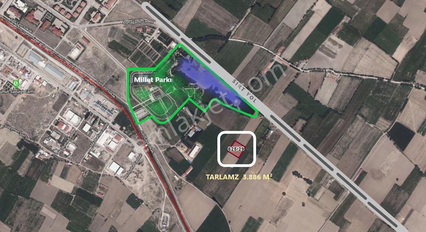 Şuhut Merkez Altıgöz Mh. Sırtyol Mevkiinde 3.886 M² Tarla