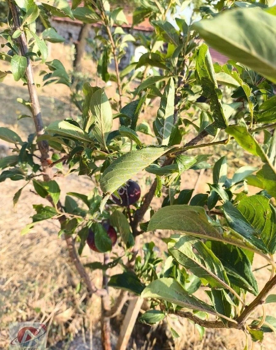 Manisa Yunusemre Mh Recepli Köyü Avlulu 2+1 Taş Ev - Görsel 23