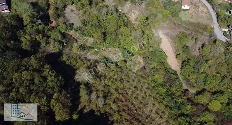 Şile Yaylalı'da Ormana Cephe Satılık %15 İmarlı 1.766 M² Arsa - Görsel 8