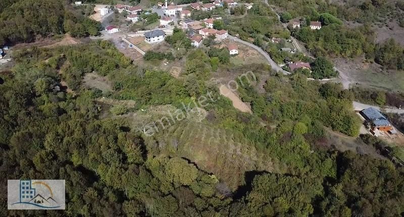 Şile Yaylalı'da Ormana Cephe Satılık %15 İmarlı 1.766 M² Arsa - Görsel 5