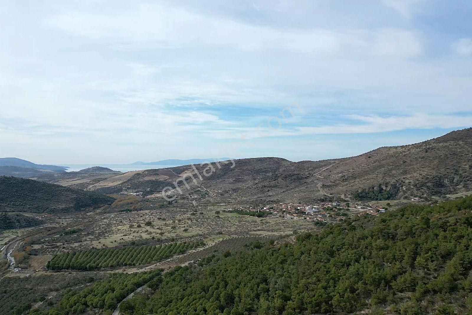 Dikili Kıroba Mahallesinde Satılık Yatırımlık Zeytinlik. - Görsel 5