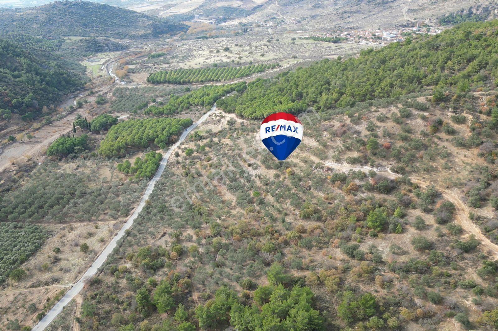 Dikili Kıroba Mahallesinde Satılık Yatırımlık Zeytinlik. - Görsel 3