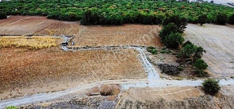 Bursa Yenişehir'e 10 Dk Cennet Koyu 2 Km Yollu Ve Sulama Kuyulu - Görsel 4