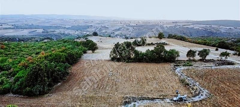 Bursa Yenişehir'e 10 Dk Cennet Koyu 2 Km Yollu Ve Sulama Kuyulu - Görsel 7