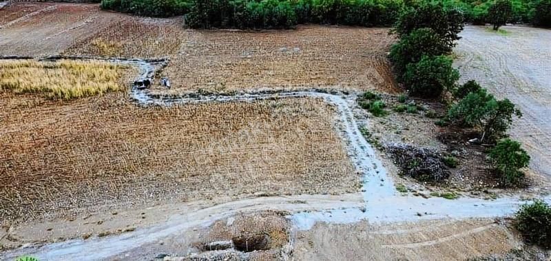 Bursa Yenişehir'e 10 Dk Cennet Koyu 2 Km Yollu Ve Sulama Kuyulu - Görsel 2