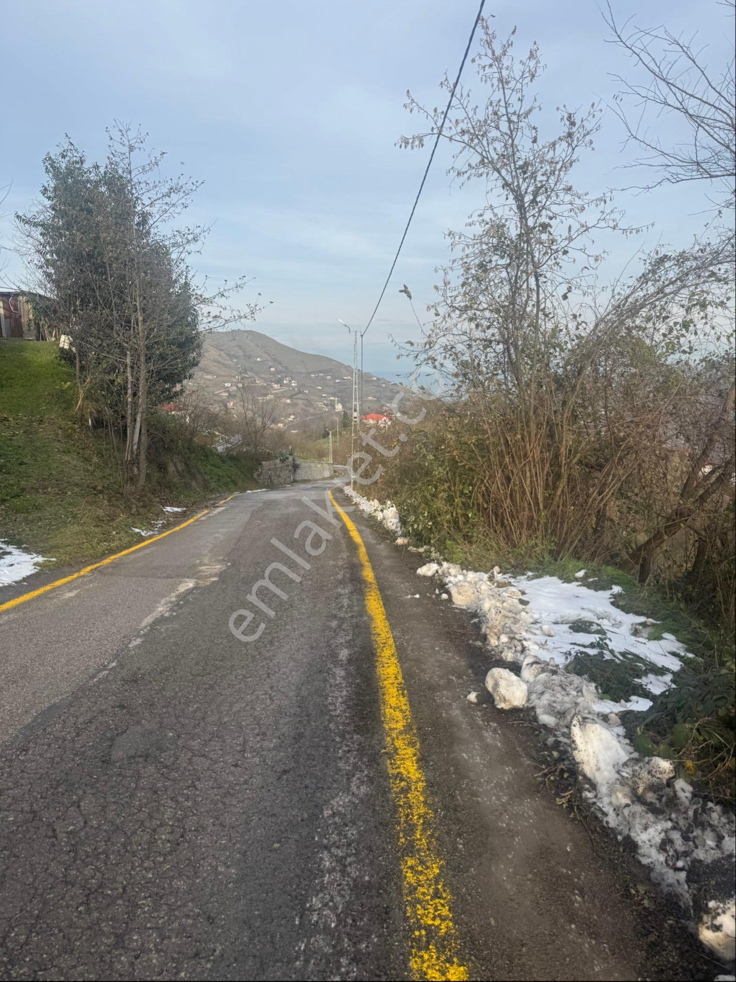 Yıldız Gayrimenkulden Akçaabat Uğurluda Satılık Arsalar - Görsel 8