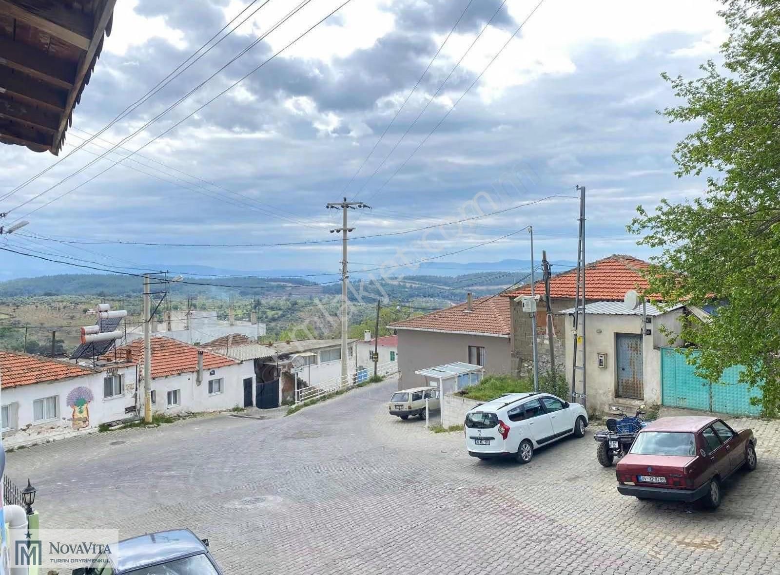 İzmir Buca Doğancılar Köyü 8500.m2 240 Ad. Ağaçlı Satılık Tarla - Görsel 6