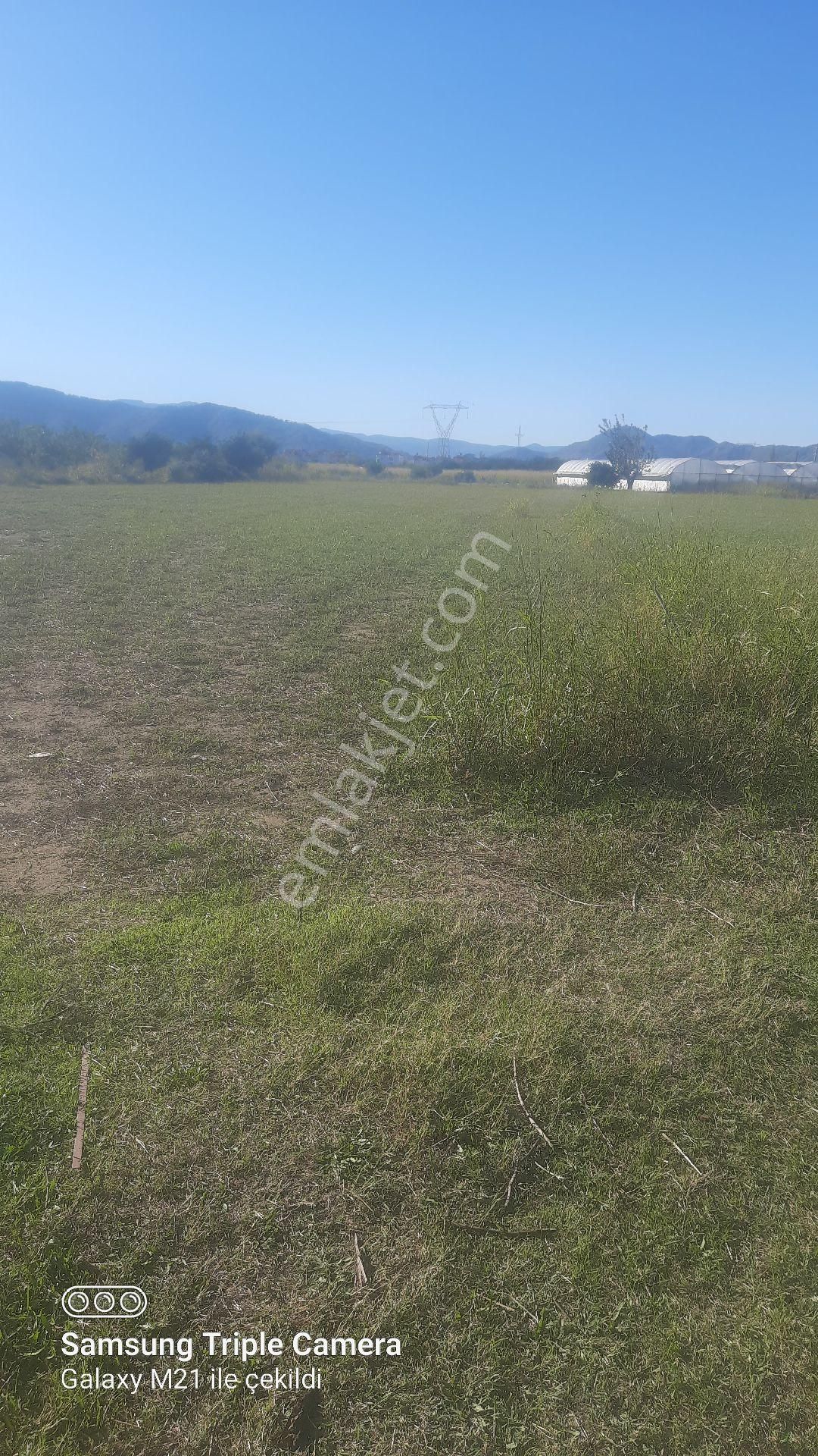 Yerbelende Riza-i Taksimli 2330 M2 - Görsel 3