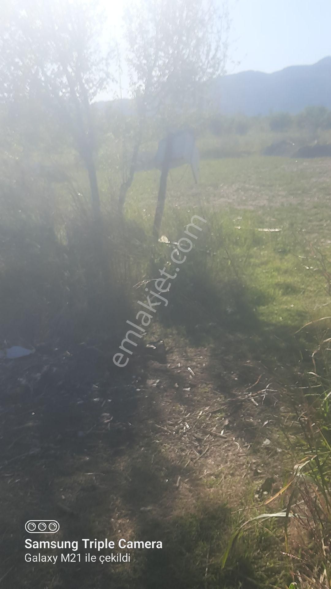 Yerbelende Riza-i Taksimli 2330 M2 - Görsel 6