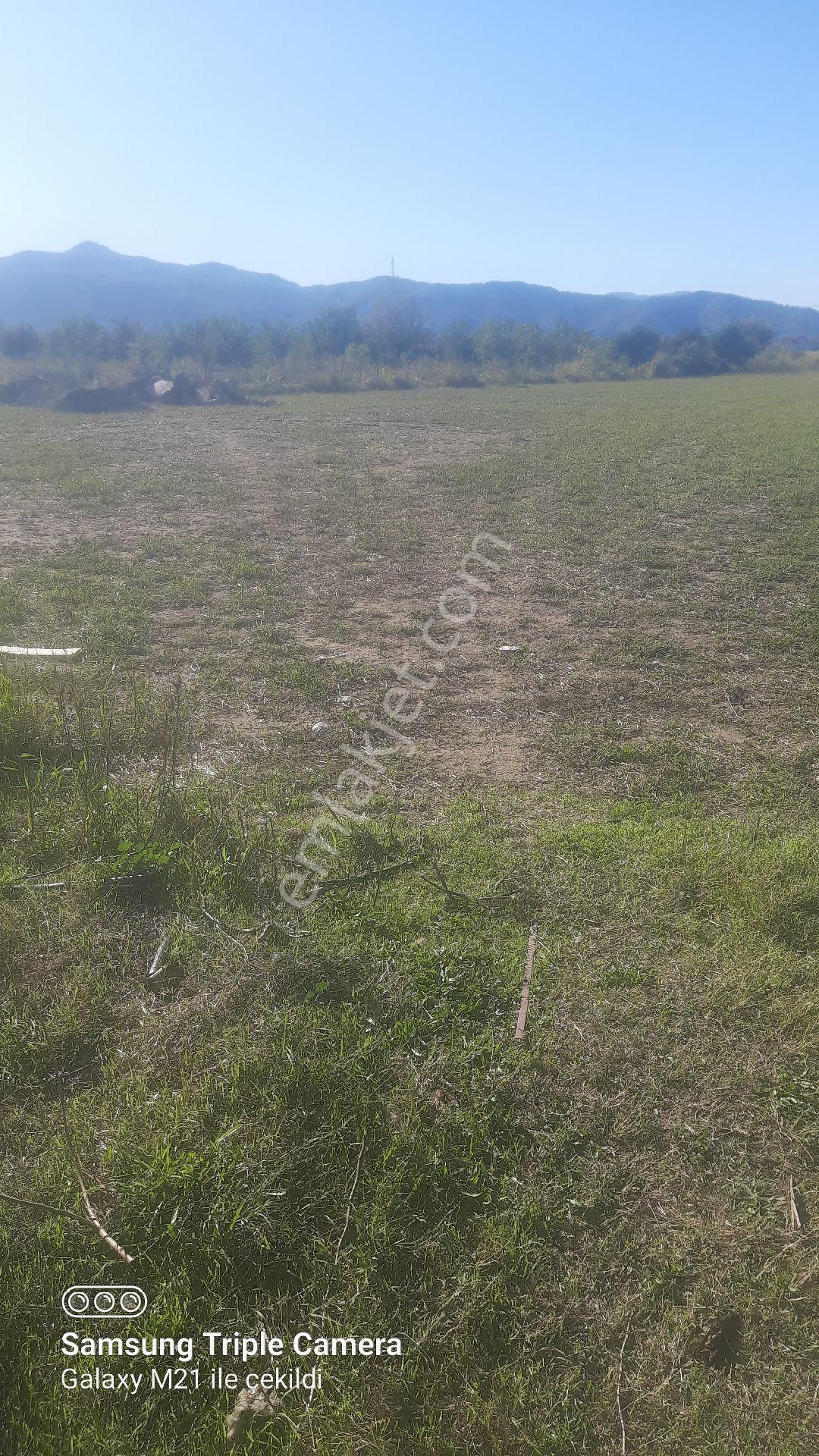 Yerbelende Riza-i Taksimli 2330 M2 - Görsel 2