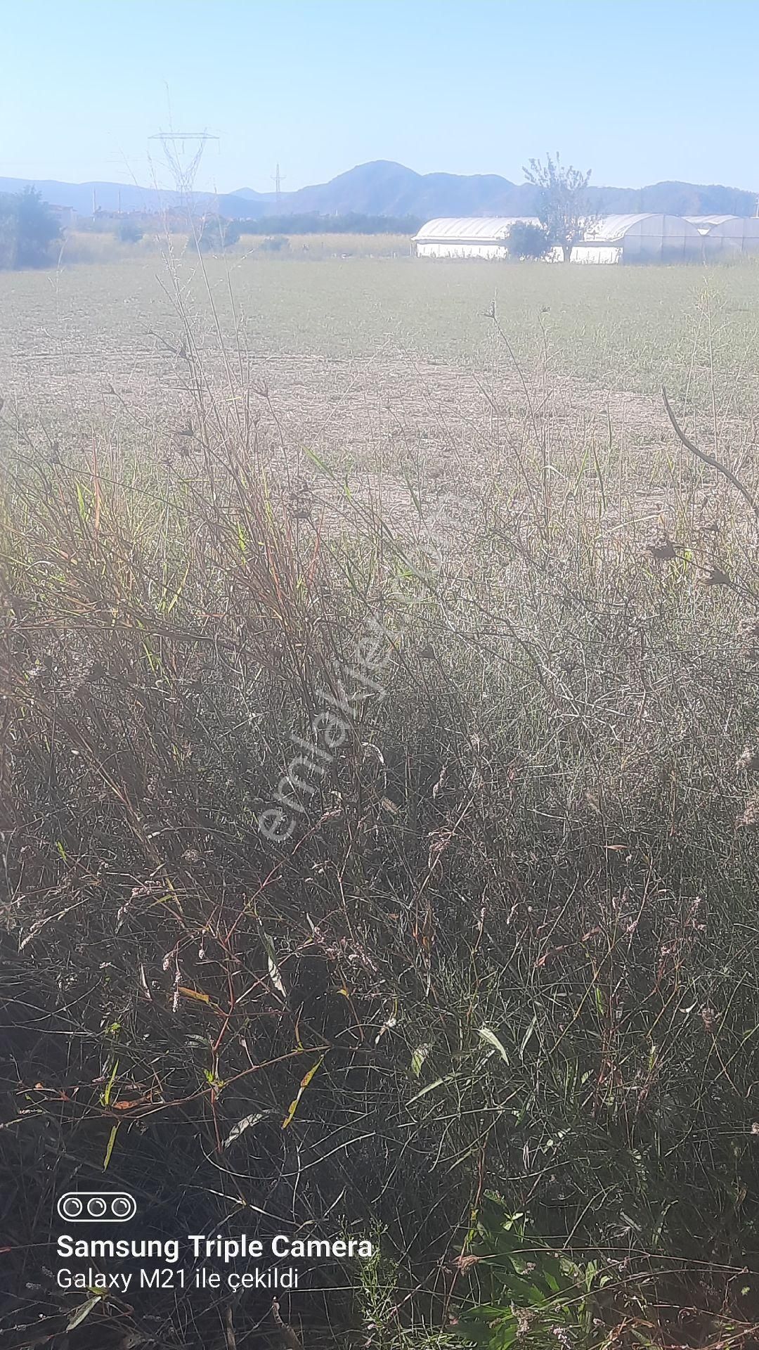 Yerbelende Riza-i Taksimli 2330 M2 - Görsel 4