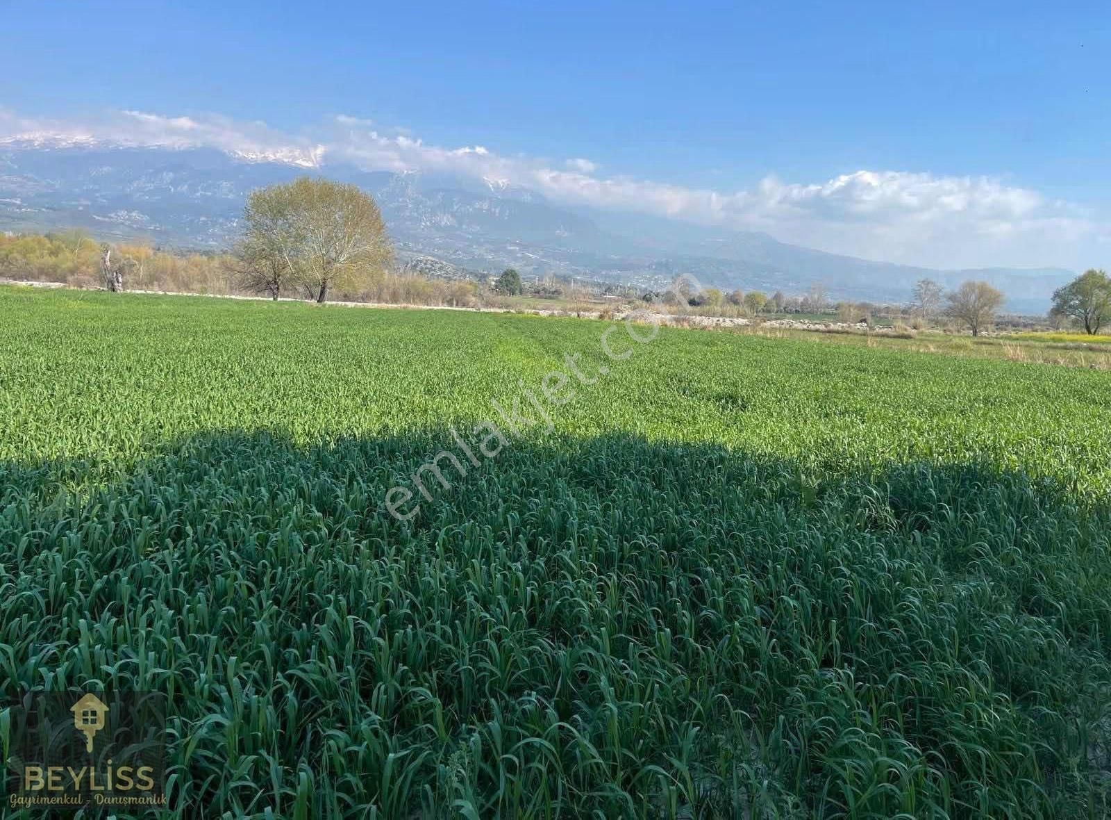 Muğla Seydikemer Çobanlarda Satılık 6.100 M2 Yola Cepheli Tarla - Görsel 4