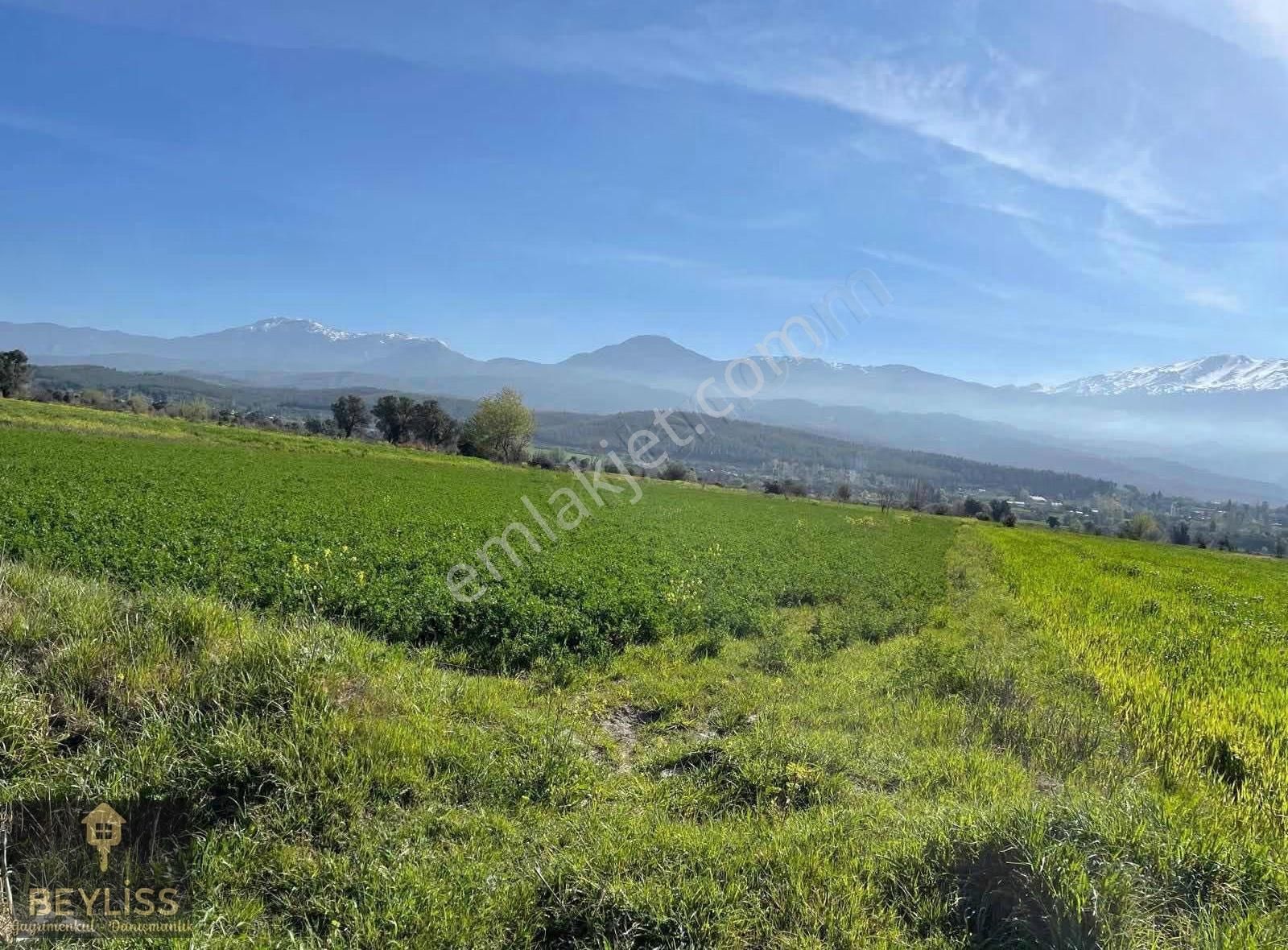 Muğla Seydikemer Çobanlarda Satılık 6.100 M2 Yola Cepheli Tarla - Görsel 7