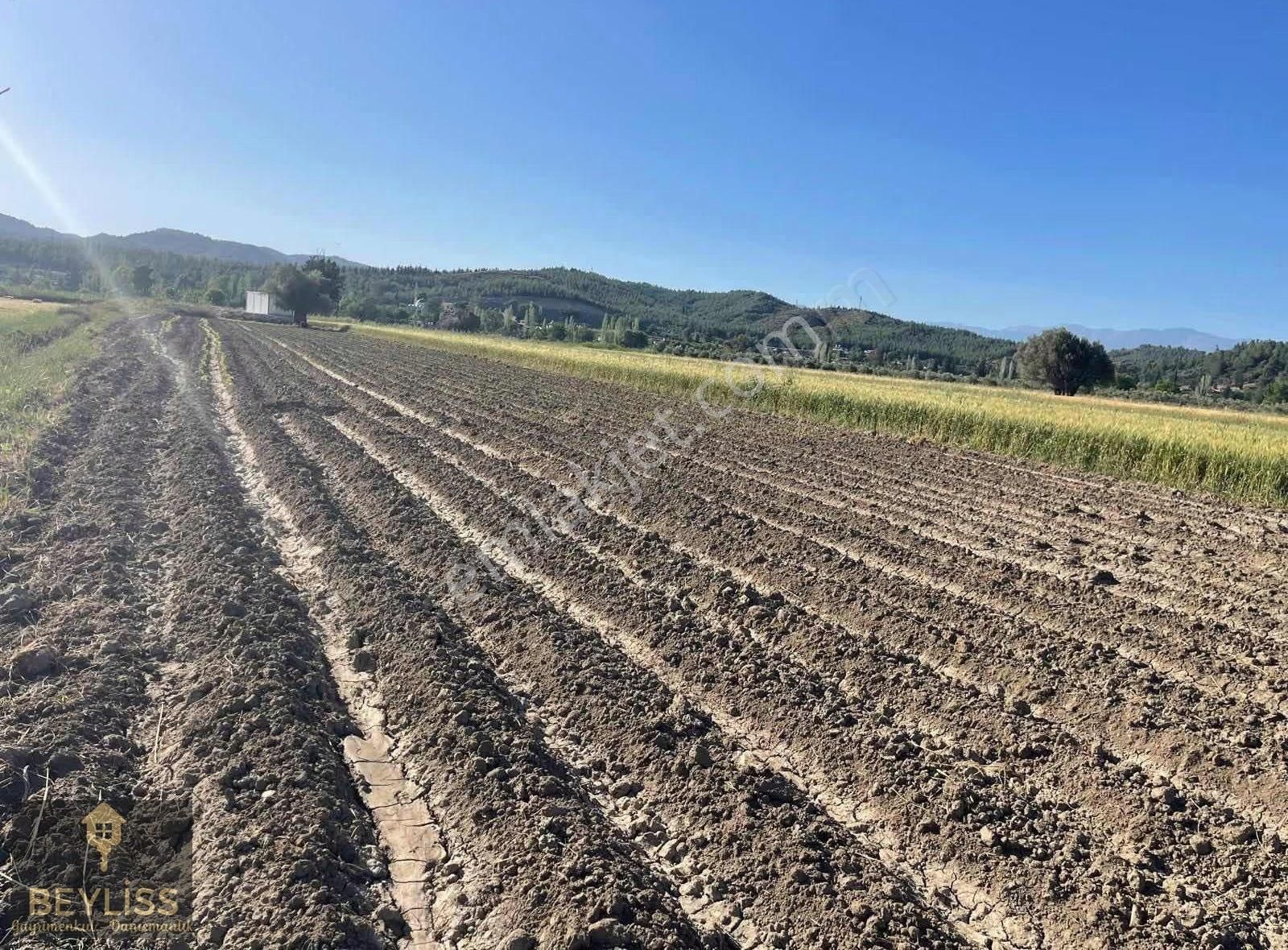 Muğla Seydikemer Çobanlarda Satılık 6.100 M2 Yola Cepheli Tarla - Görsel 9