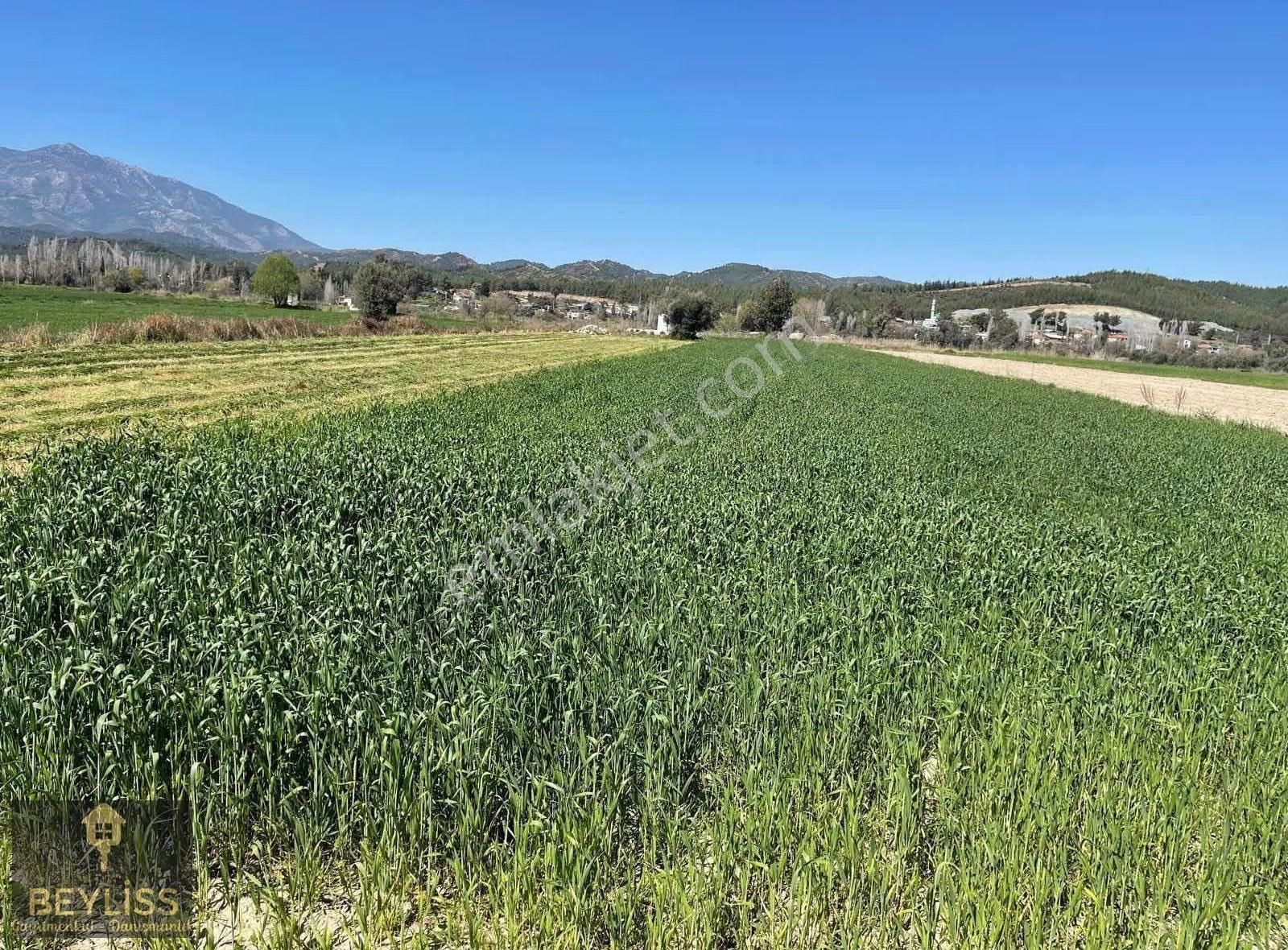 Muğla Seydikemer Çobanlarda Satılık 6.100 M2 Yola Cepheli Tarla - Görsel 10