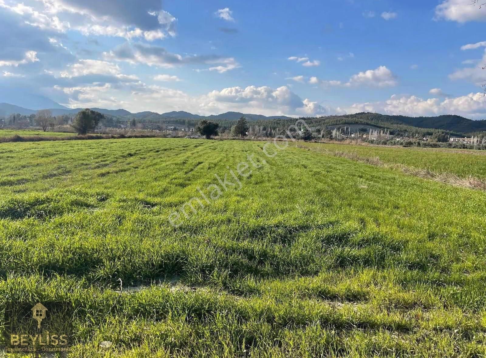 Muğla Seydikemer Çobanlarda Satılık 6.100 M2 Yola Cepheli Tarla - Görsel 11