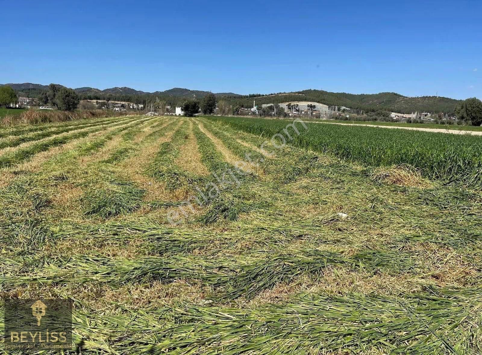 Muğla Seydikemer Çobanlarda Satılık 6.100 M2 Yola Cepheli Tarla - Görsel 8