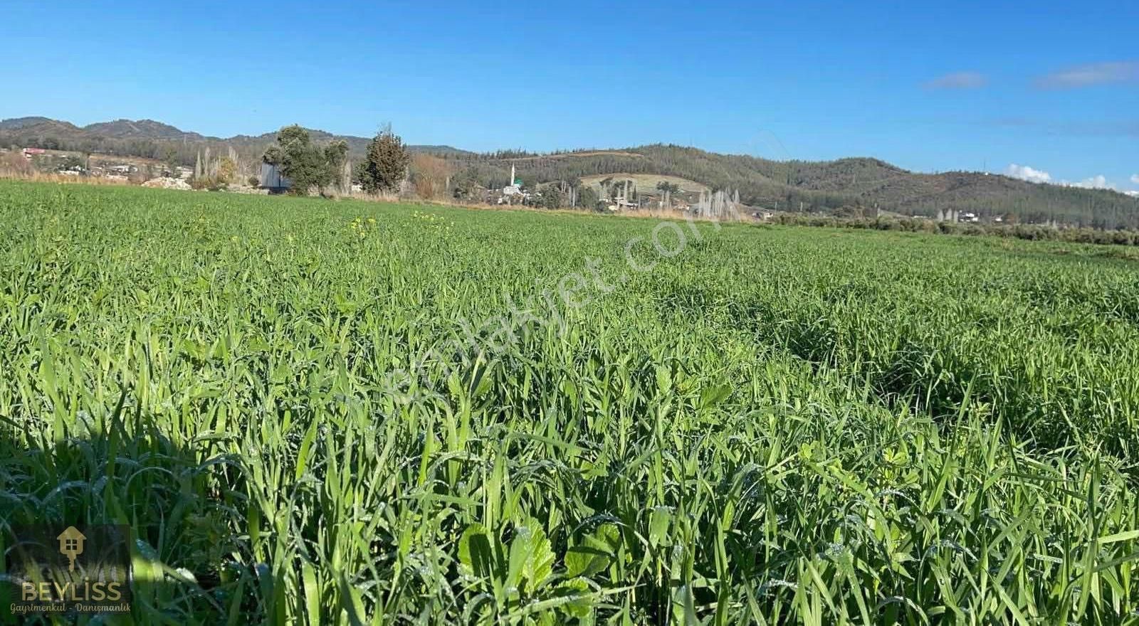 Muğla Seydikemer Çobanlarda Satılık 6.100 M2 Yola Cepheli Tarla - Görsel 3
