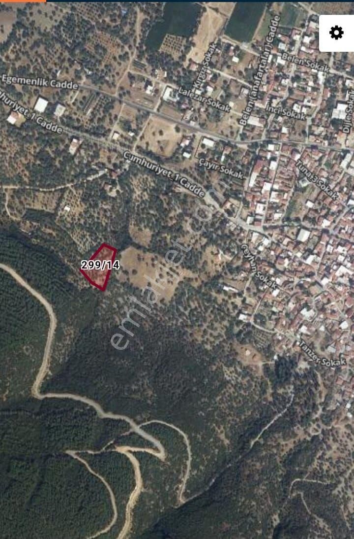 Manisa Saruhanlı Büyükbelen Mah. Satılık Zeytinlik - Görsel 2