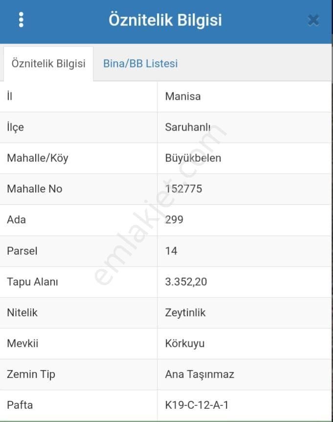 Manisa Saruhanlı Büyükbelen Mah. Satılık Zeytinlik - Görsel 4