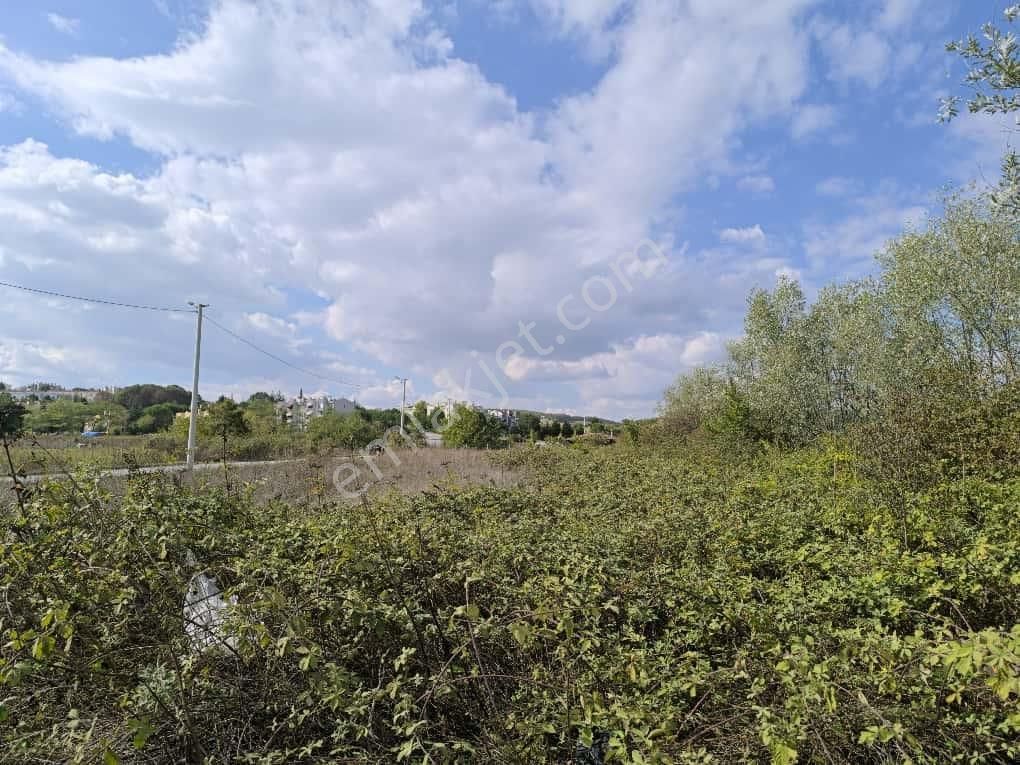 15 Temmuz Camilide 75 M Yola Cepheli Satılık Köşe Parsel - Görsel 12