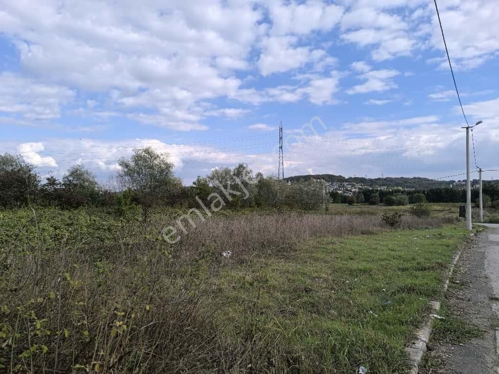 15 Temmuz Camilide 75 M Yola Cepheli Satılık Köşe Parsel - Görsel 4