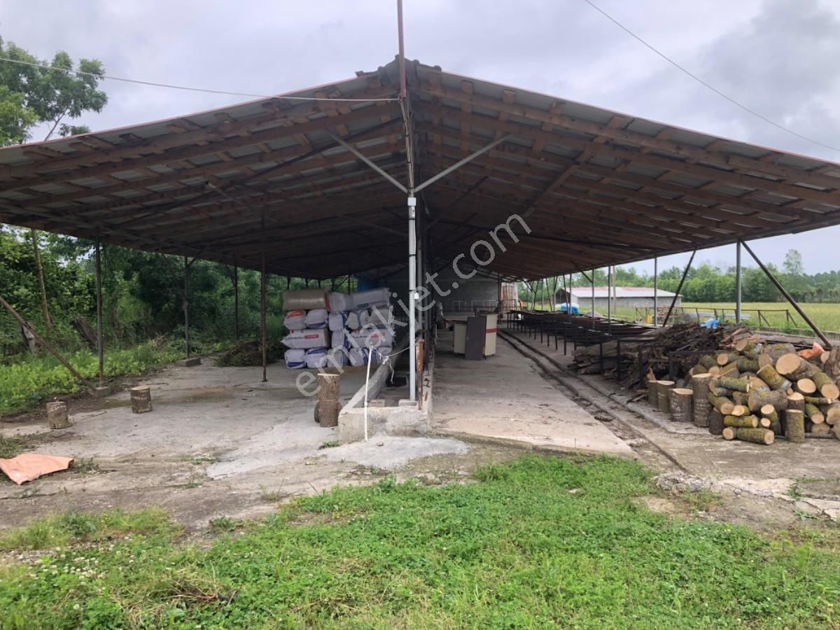 Terme Çanaklıda Çiftlik Sıfır Daire Takaslı 16142 Metrekare - Görsel 12