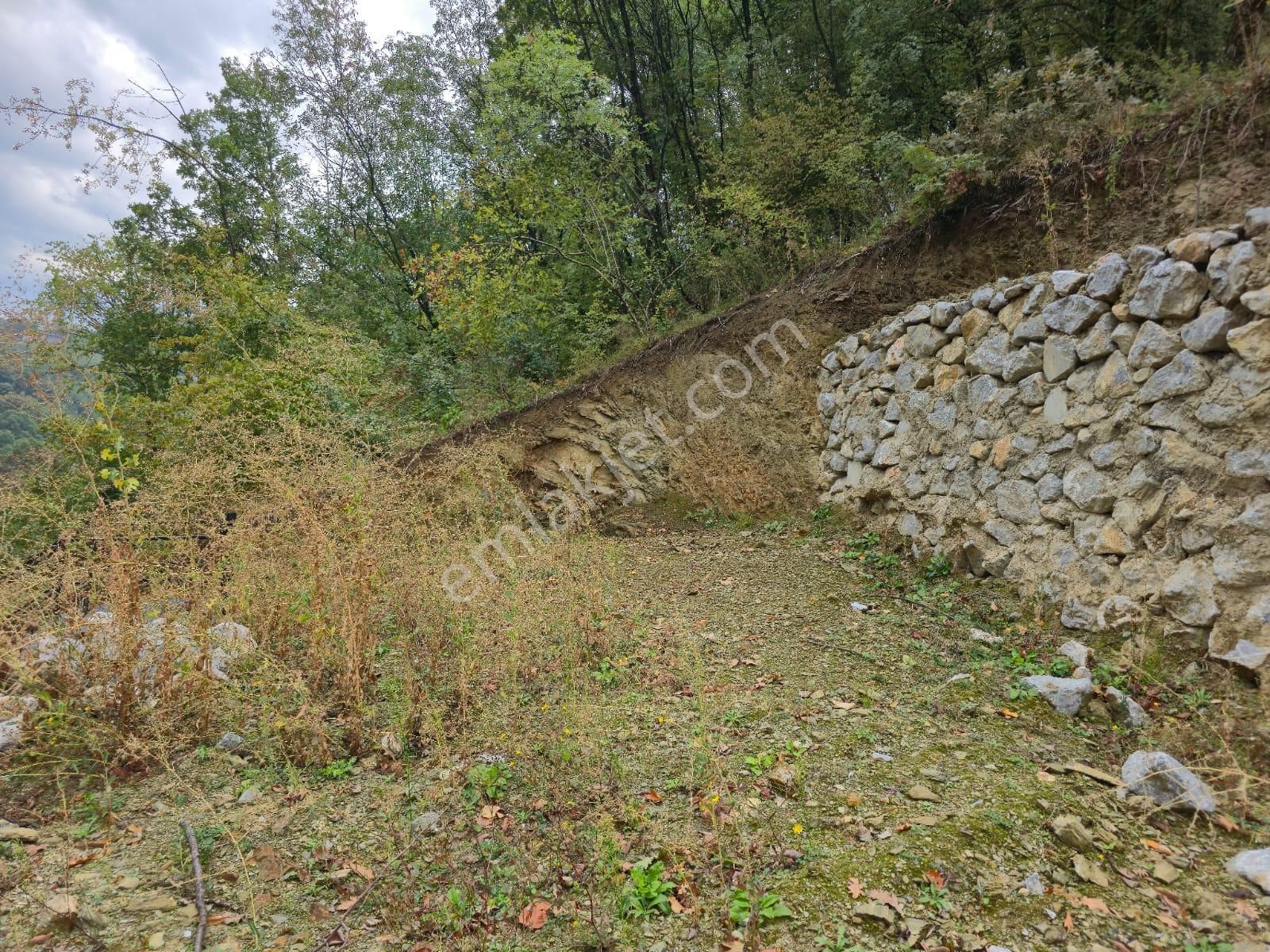 Kestel Saitaabat'da Satılık 3 Adet Bağ Evi Yapımına Uygun Arsa - Görsel 7