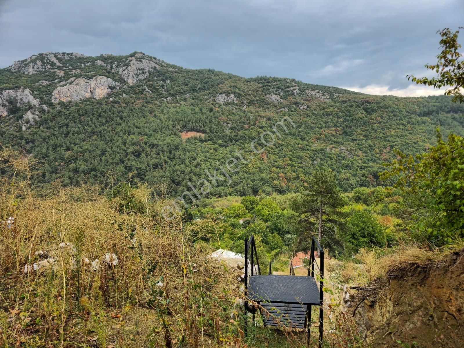 Kestel Saitaabat'da Satılık 3 Adet Bağ Evi Yapımına Uygun Arsa - Görsel 20