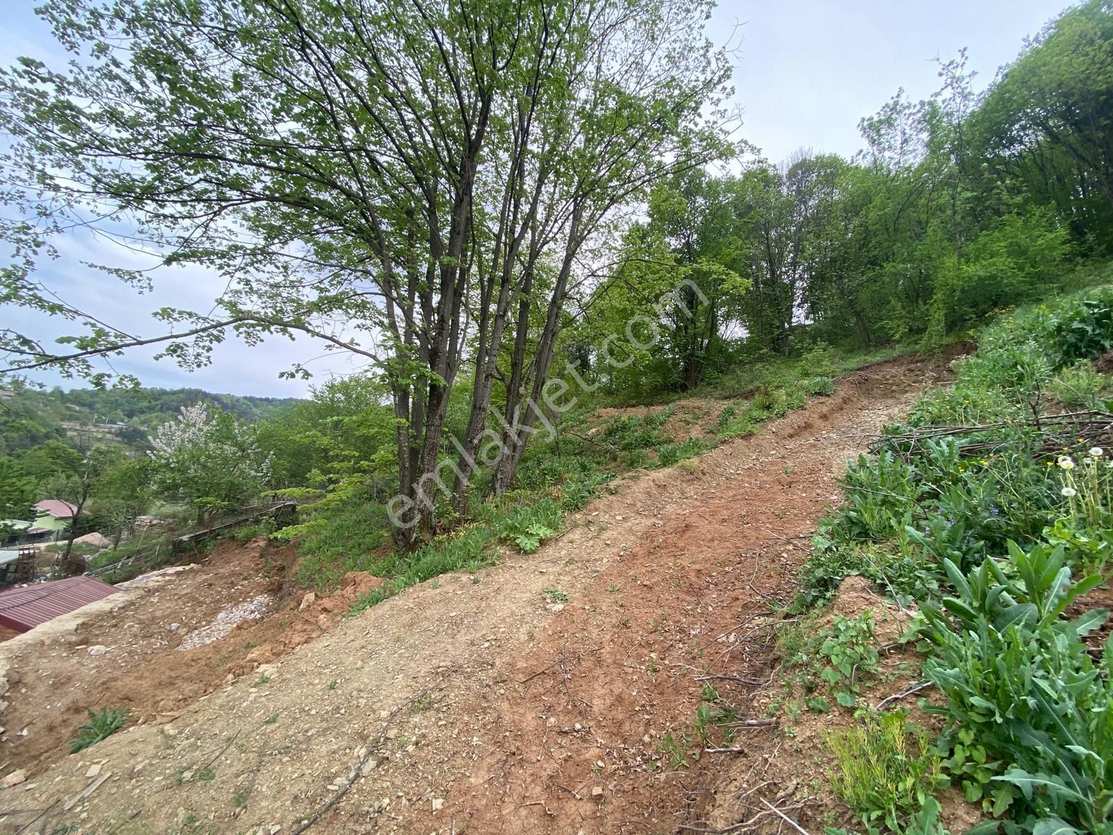 Kestel Saitaabat'da Satılık 3 Adet Bağ Evi Yapımına Uygun Arsa - Görsel 11