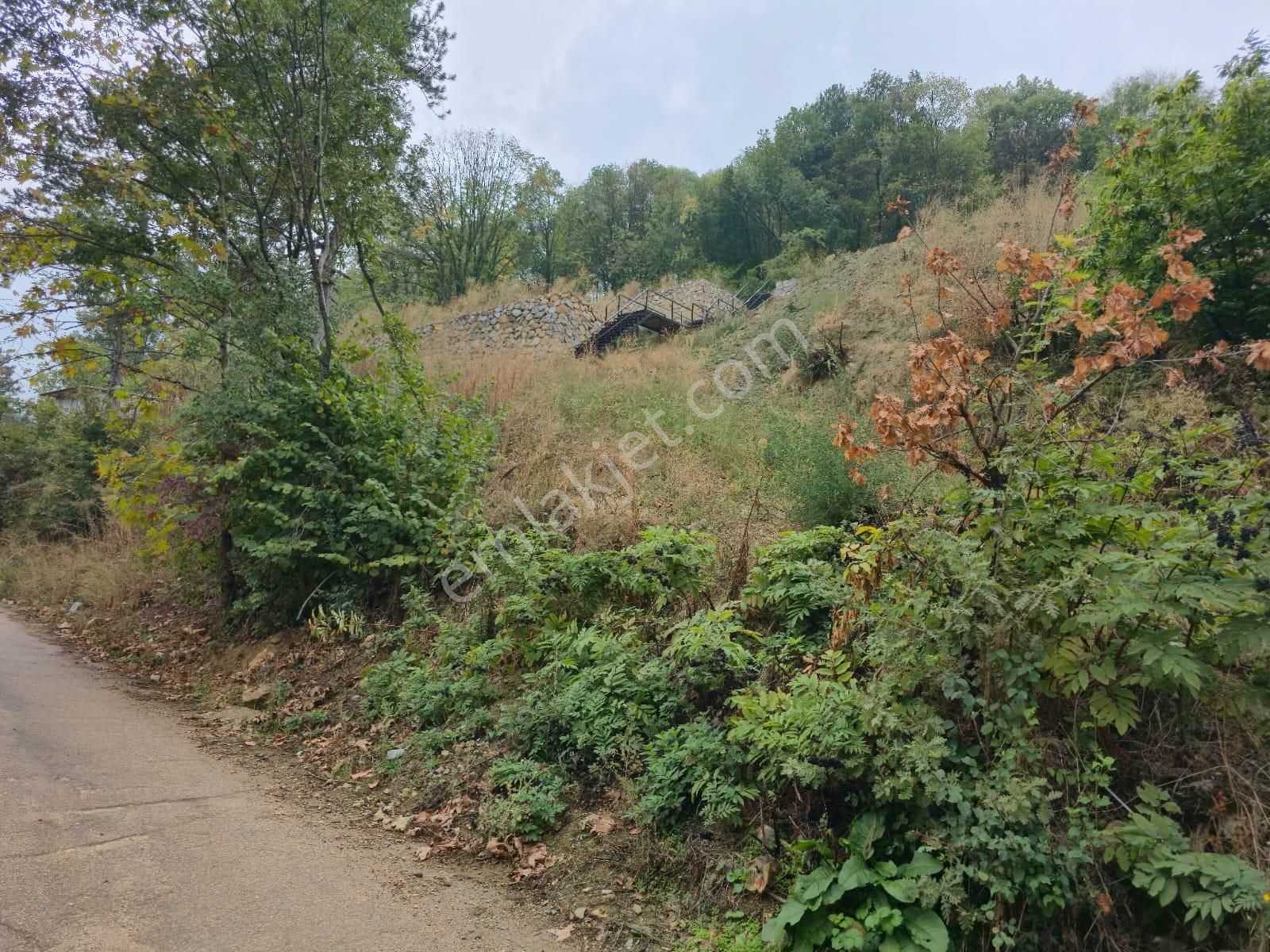 Kestel Saitaabat'da Satılık 3 Adet Bağ Evi Yapımına Uygun Arsa - Görsel 26