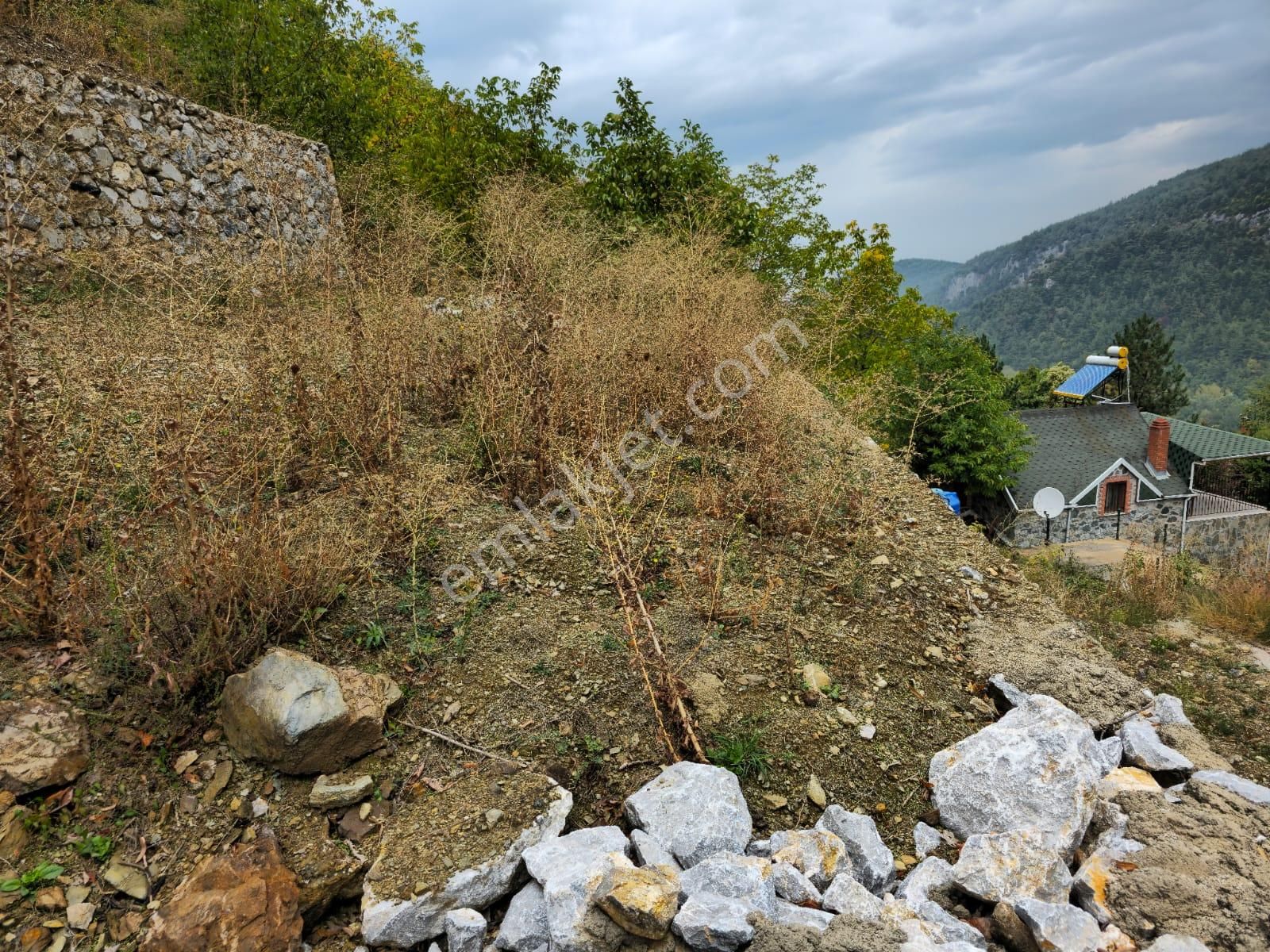 Kestel Saitaabat'da Satılık 3 Adet Bağ Evi Yapımına Uygun Arsa - Görsel 5