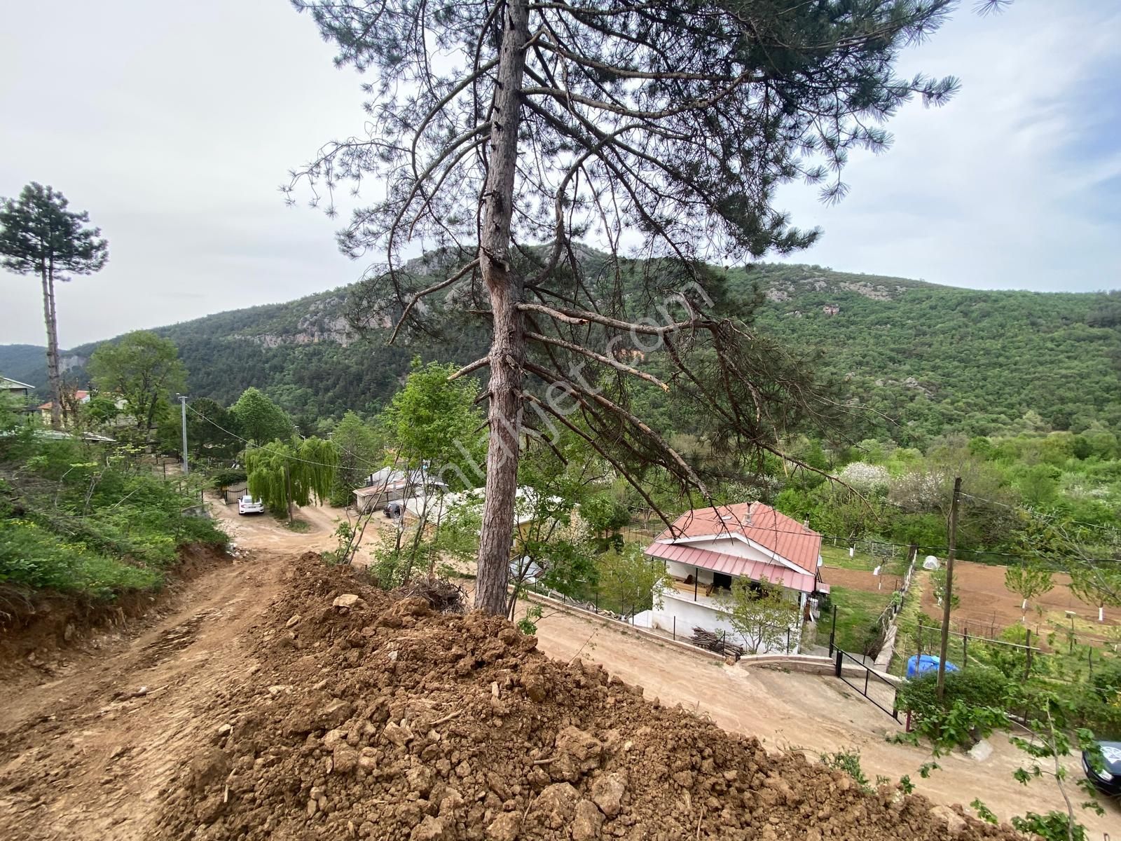Kestel Saitaabat'da Satılık 3 Adet Bağ Evi Yapımına Uygun Arsa - Görsel 12