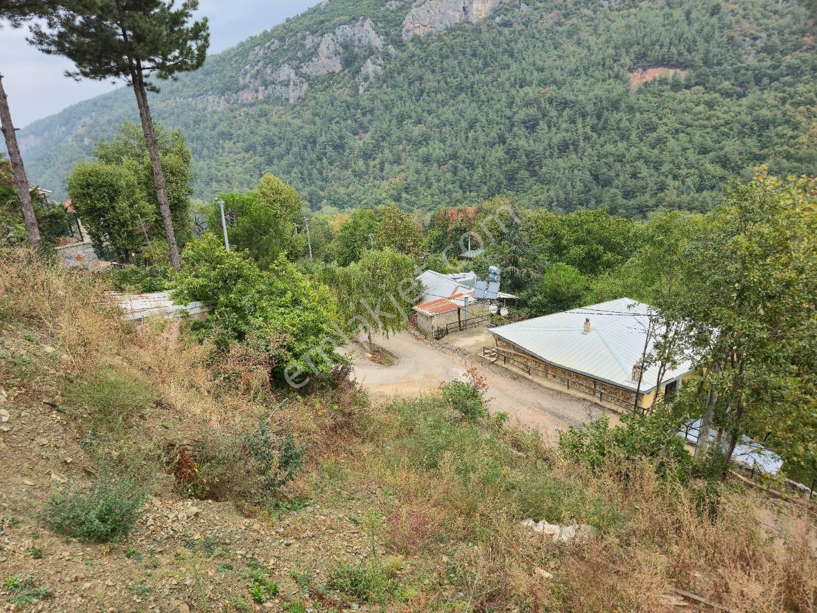 Kestel Saitaabat'da Satılık 3 Adet Bağ Evi Yapımına Uygun Arsa - Görsel 17