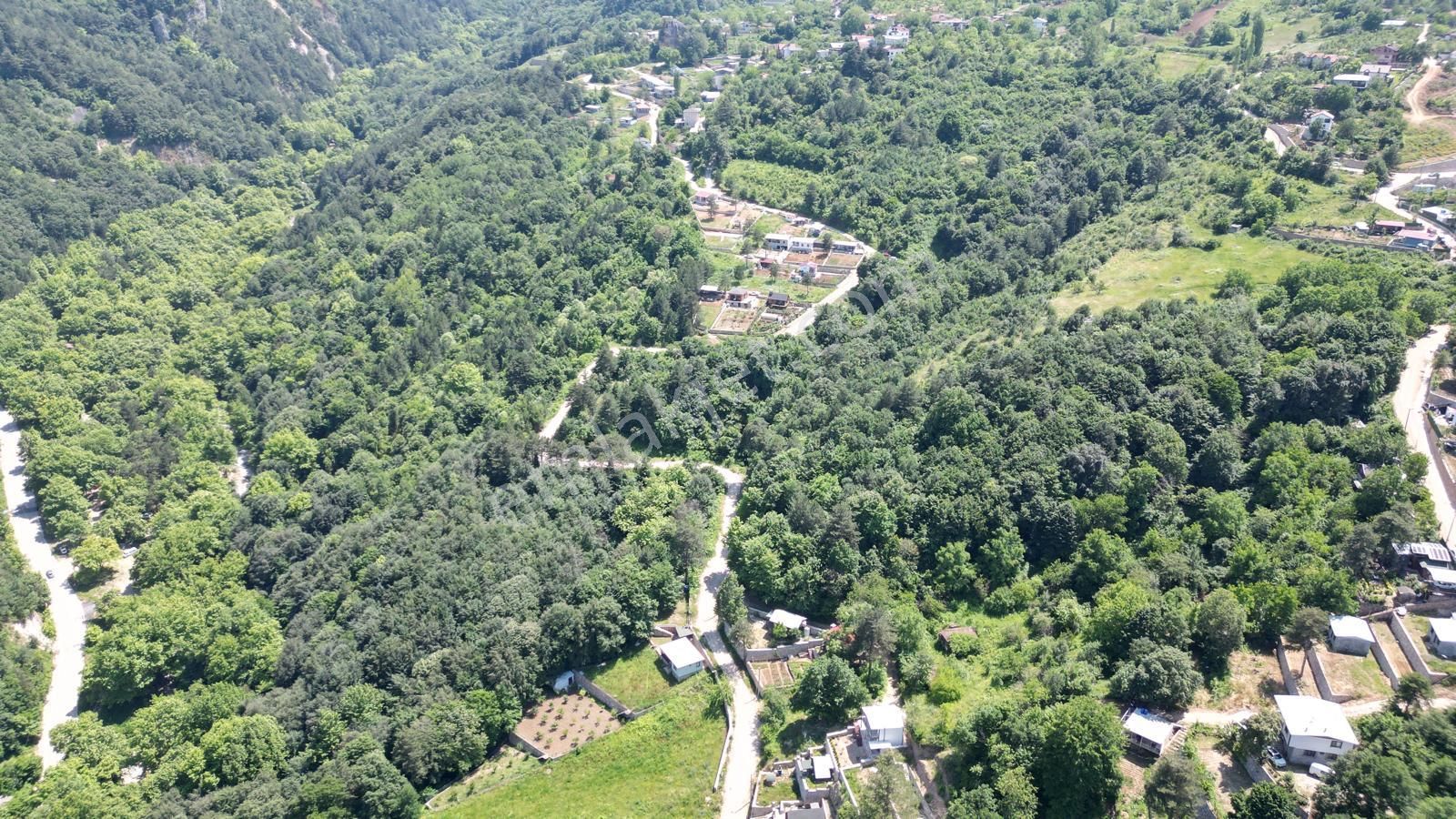 Kestel Saitaabat'da Satılık 3 Adet Bağ Evi Yapımına Uygun Arsa - Görsel 27