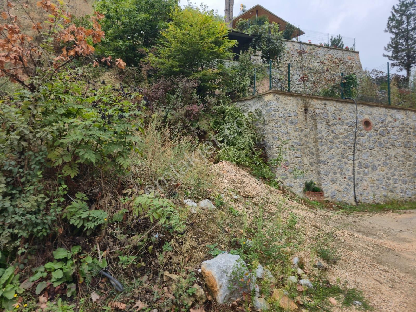 Kestel Saitaabat'da Satılık 3 Adet Bağ Evi Yapımına Uygun Arsa - Görsel 22