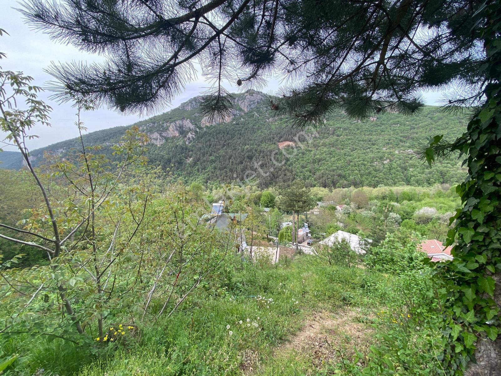 Kestel Saitaabat'da Satılık 3 Adet Bağ Evi Yapımına Uygun Arsa - Görsel 29