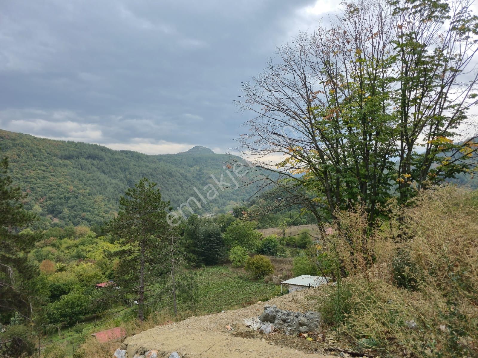 Kestel Saitaabat'da Satılık 3 Adet Bağ Evi Yapımına Uygun Arsa - Görsel 13