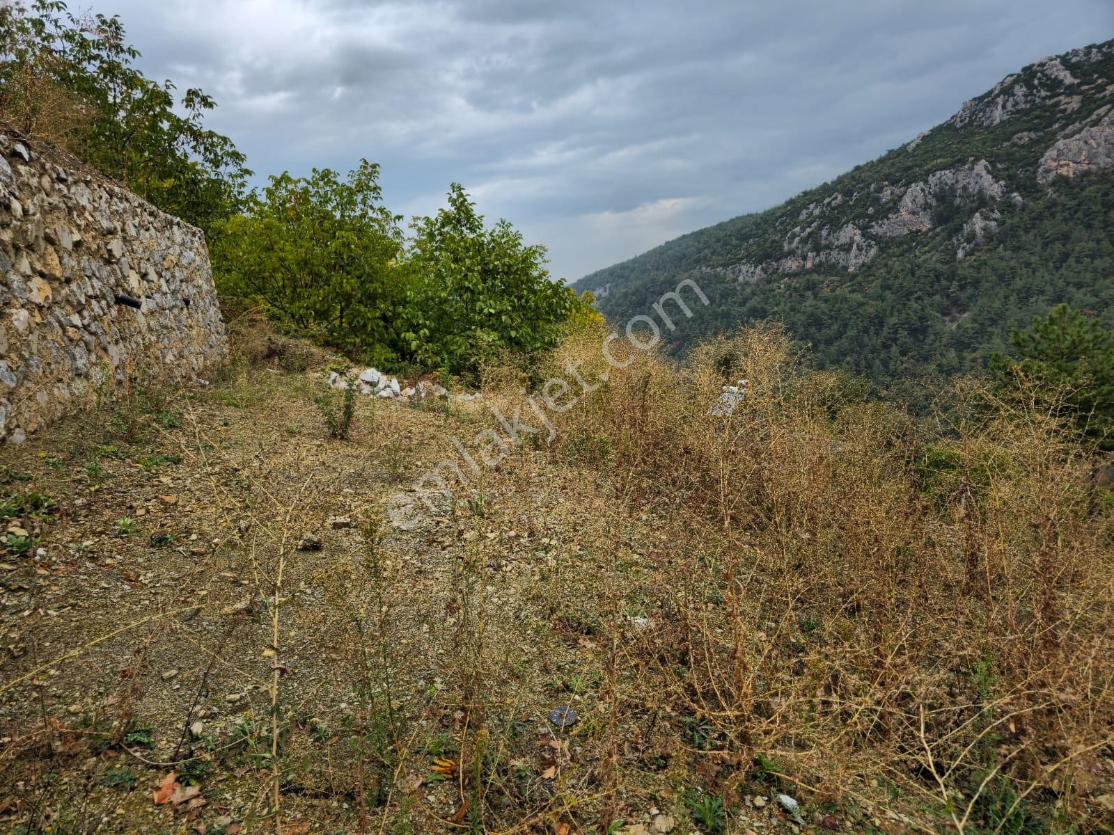 Kestel Saitaabat'da Satılık 3 Adet Bağ Evi Yapımına Uygun Arsa - Görsel 6