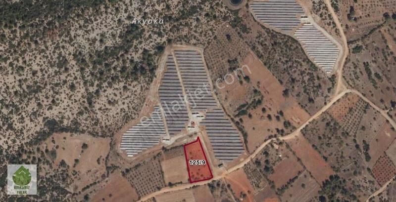 Muğla Menteşe Çırpı Mahallesinde Yatırımlık Tarla... - Görsel 2