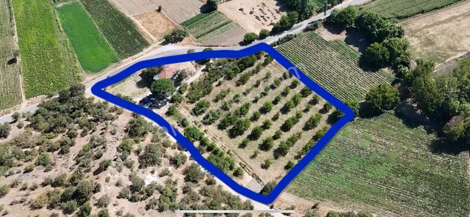 Tek Sahibinden 7400 M2 Ceviz, Meyve Ve Hobi Bahçeli Çiftlik Evi. - Görsel 4