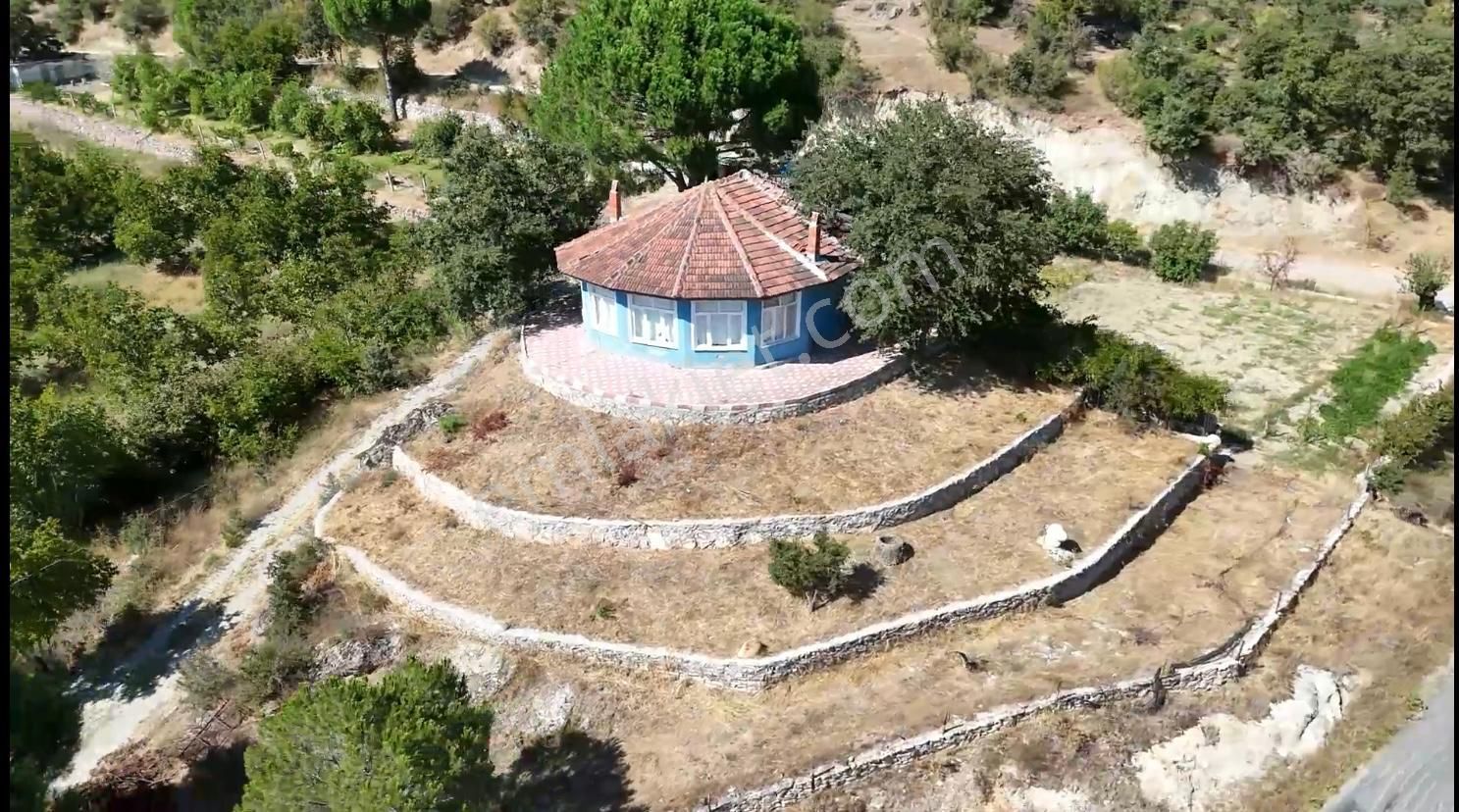 Tek Sahibinden 7400 M2 Ceviz, Meyve Ve Hobi Bahçeli Çiftlik Evi. - Görsel 2