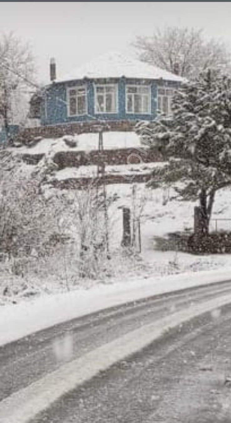 Tek Sahibinden 7400 M2 Ceviz, Meyve Ve Hobi Bahçeli Çiftlik Evi. - Görsel 6