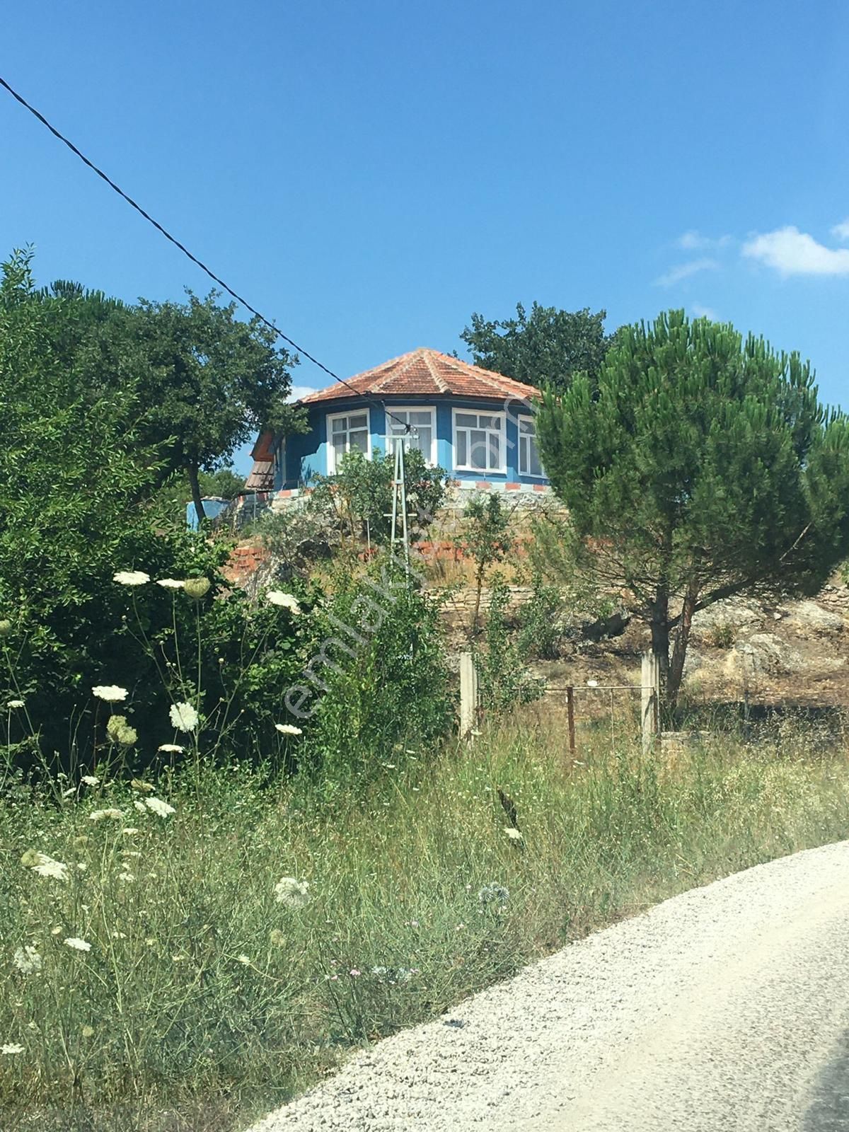 Tek Sahibinden 7400 M2 Ceviz, Meyve Ve Hobi Bahçeli Çiftlik Evi. - Görsel 3