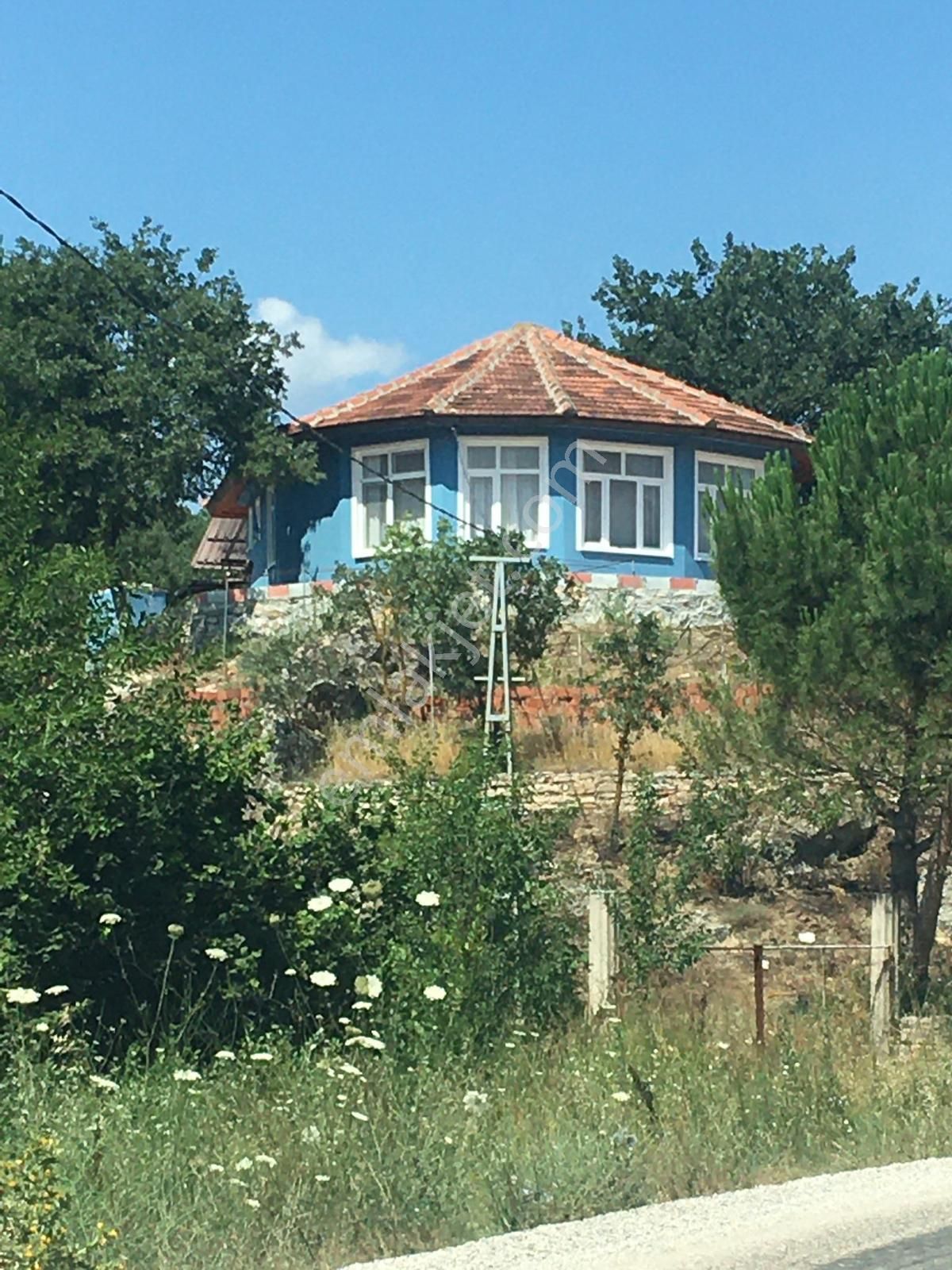 Tek Sahibinden 7400 M2 Ceviz, Meyve Ve Hobi Bahçeli Çiftlik Evi. - Görsel 5