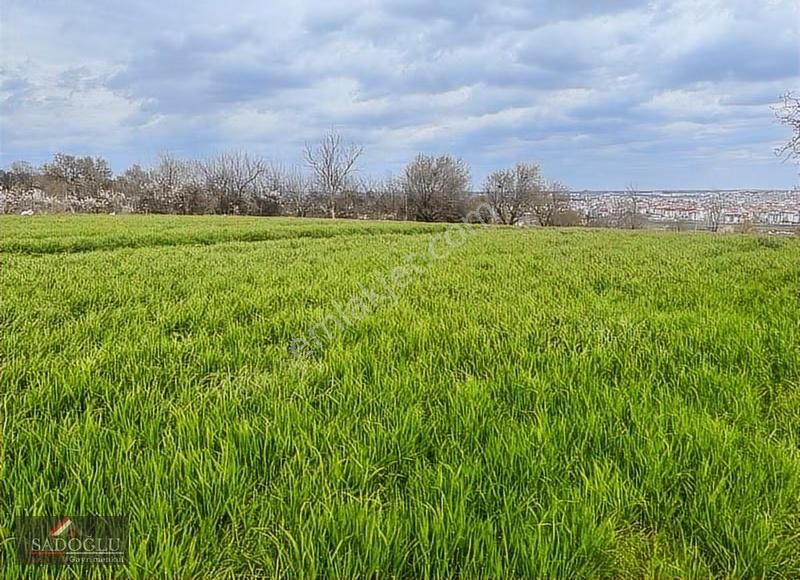 Lüleburgaz'da Sosyal Donat İmarlı Satılık 2.588 M2 Arsa - Görsel 10