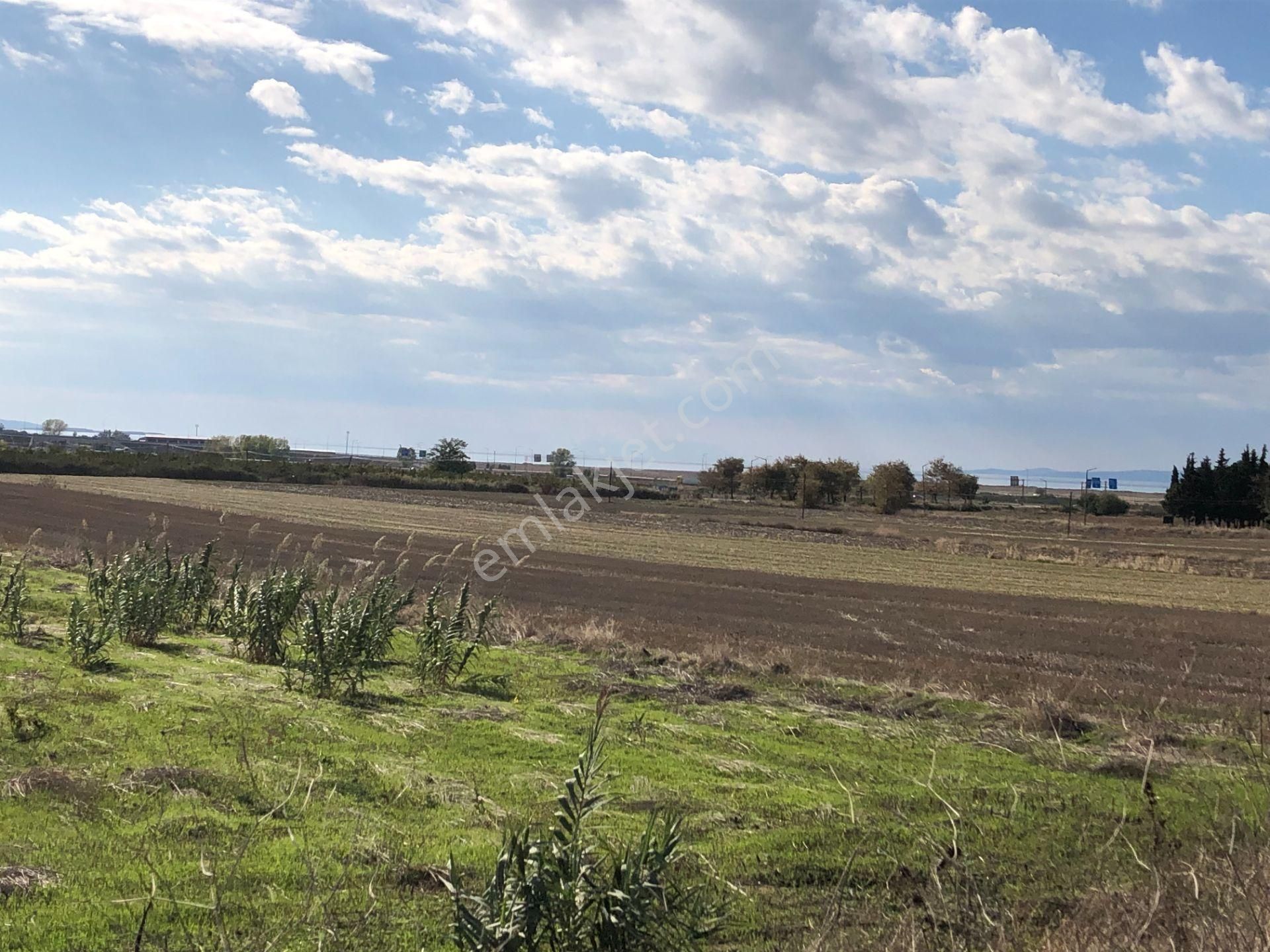 Şarköy De Işık Emlaktan Gelibolu Kavak Mah De 30200 M2 Üç Parca Tarla - Görsel 3