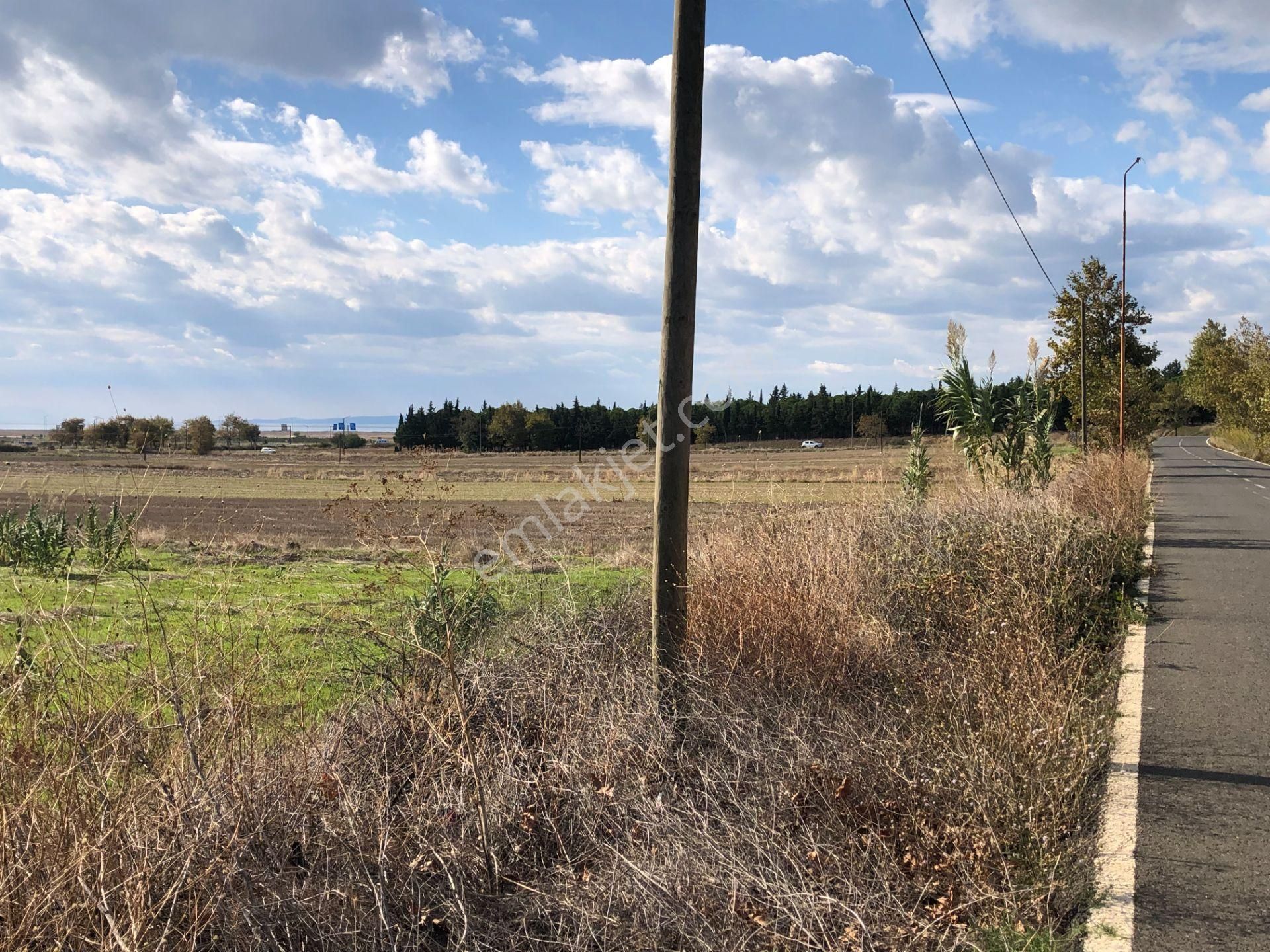 Şarköy De Işık Emlaktan Gelibolu Kavak Mah De 30200 M2 Üç Parca Tarla - Görsel 12