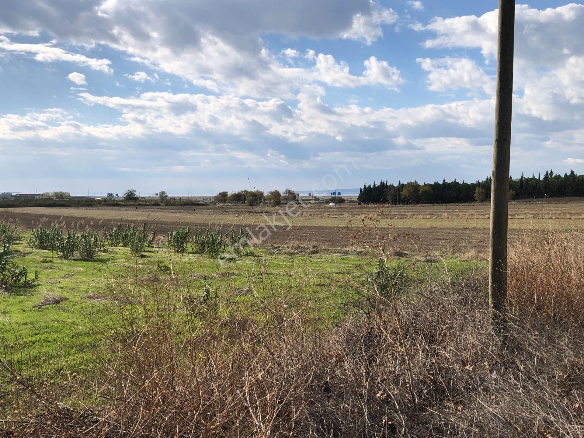 Şarköy De Işık Emlaktan Gelibolu Kavak Mah De 30200 M2 Üç Parca Tarla - Görsel 10